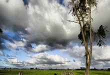 2020年有世界杯足球赛吗？赛程表是怎样的？