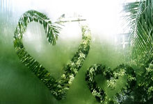 国足历届世预赛战绩如何？一路坎坷中有无高光时刻？