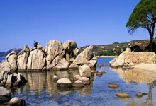 AC米兰对阵佛罗伦萨最终比分是多少？这场比赛有哪些关键看点？